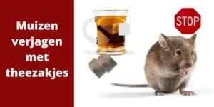 Muizen verjagen met theezakjes of azijn